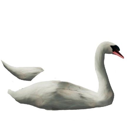 Creation of Swan: Step 7